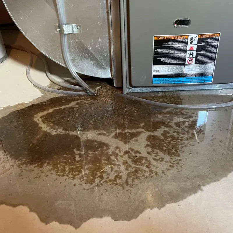Pipe Burst and Leak Restoration in Greenfield, WI